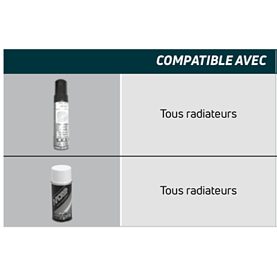 Retouches de la peinture blanche RAL 9016